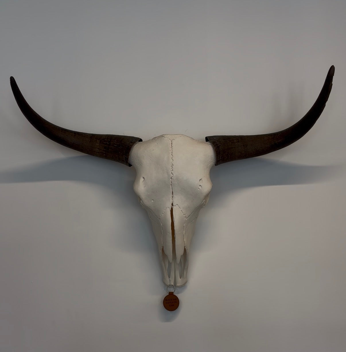 Yak Skull Wildfire Relief Raffle